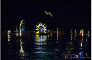 Die Unterwasserwelt Weihnachten am abend des 24 Dezember_fotos von Fabio Iardino 